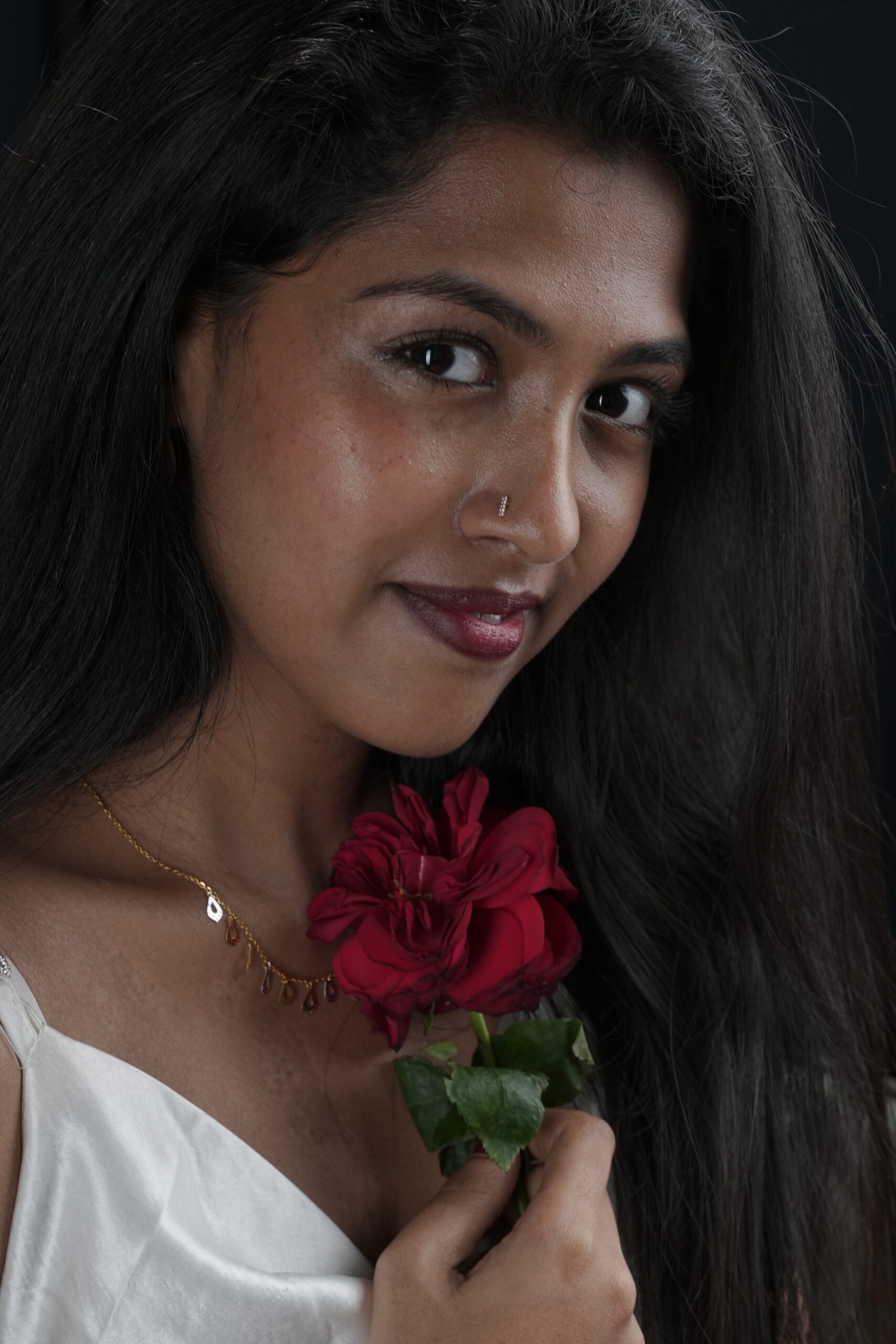 Image gallery marquee